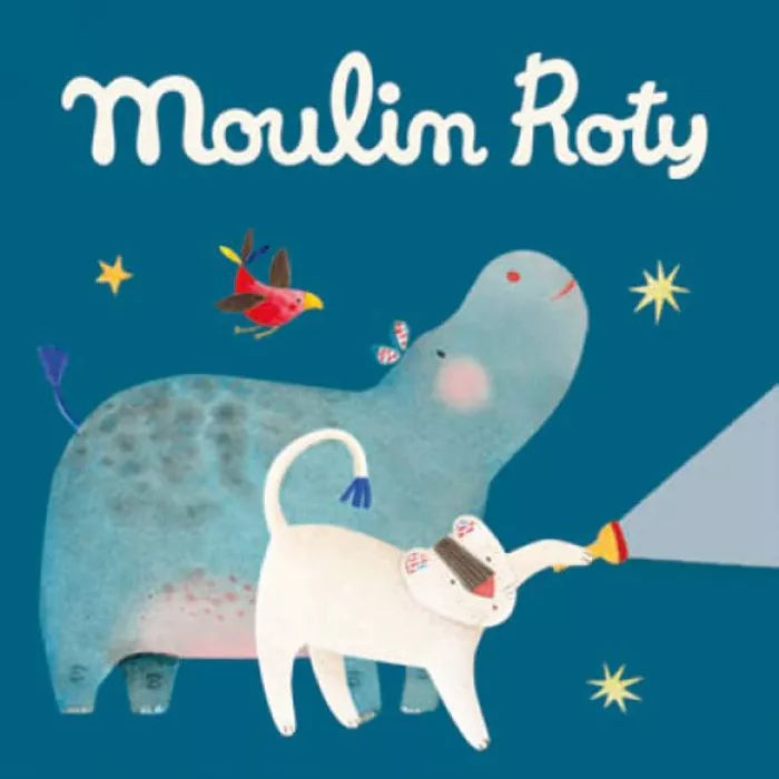 Boîte de 3 disques pour lampe à histoires - Moulin Roty Les Papoum